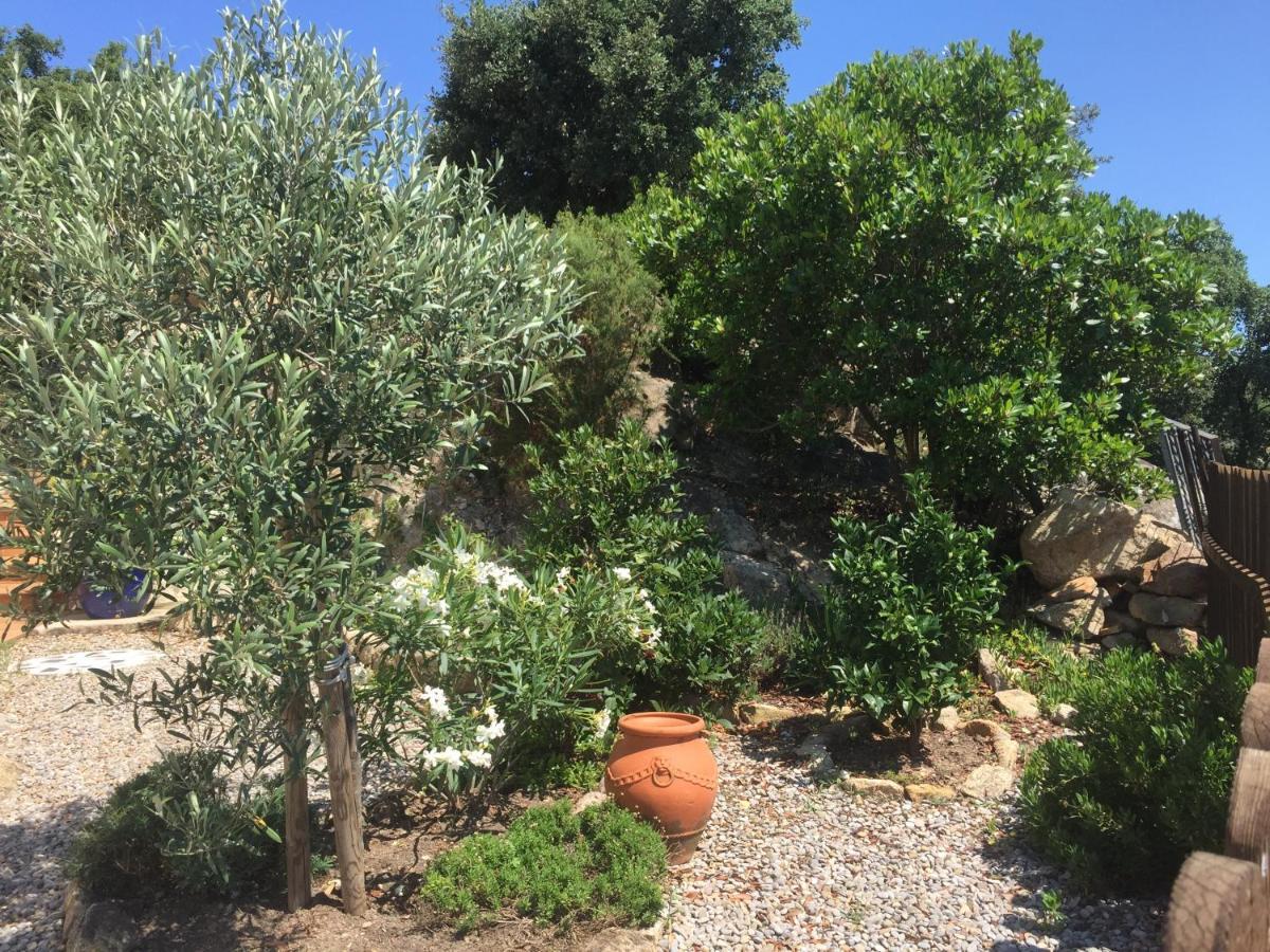 Villa Gardenia Mit Pool Und Traumhaftem Meerblick Santa Cristina d'Aro Exterior foto